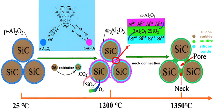 Schematische Darstellung des Sinterprozesses von mullitgebundener poröser Siliziumkarbidkeramik, hergestellt durch reaktives In-situ-Sinterverfahren